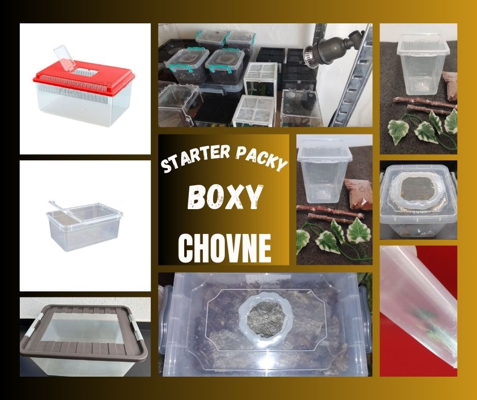 Starter Packy, Boxy a Chovne